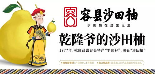 夢回唐朝楊貴妃，沙田有柚震乾隆——廣西旅游年卡與旅發旅行社集團攜手共譜文化之旅